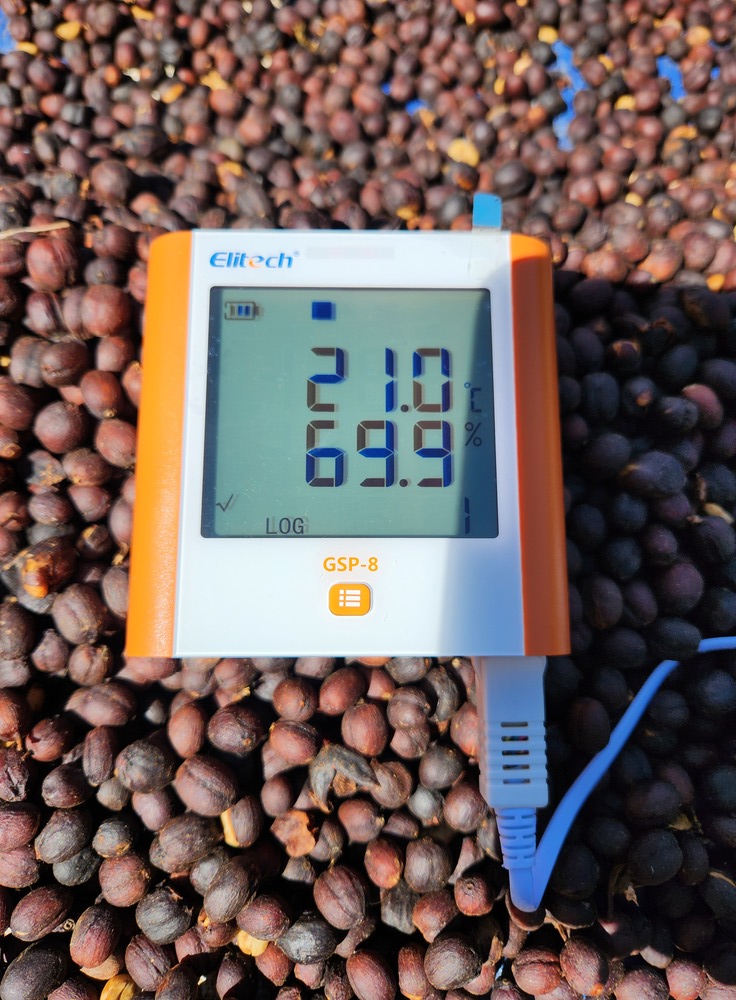 acerca santa clara coffee farm control calidad